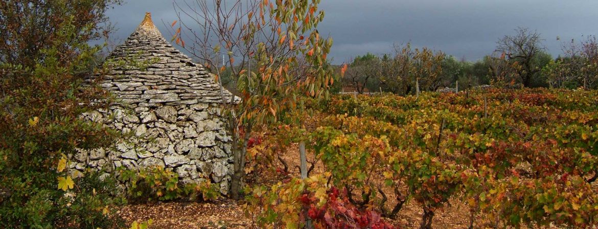 natura_plantamura_autunno.jpg