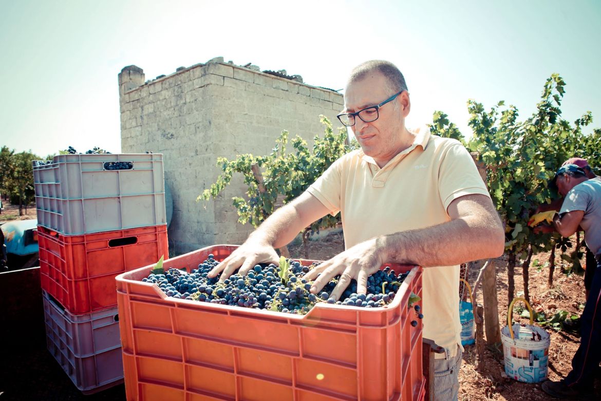 vincenzo-plantamura.jpg